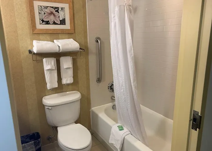 Saint Louis-fairview Heights By Ihg Hotel 3*